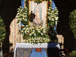 01-NDGuadalupe-Gricigliano_20241212_112124