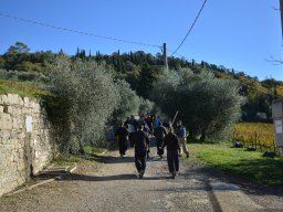 002-Olives-Gricigliano_2025-11-04_09-53-24_0178