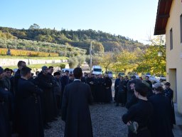 016-Olives-Gricigliano_2025-11-06_09-18-08_0345