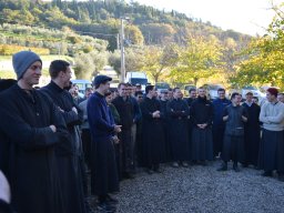 017-Olives-Gricigliano_2025-11-06_09-18-28_0346