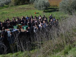 024-Olives-Gricigliano_2025-11-06_10-57-18_0423