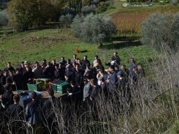 025-Olives-Gricigliano_2025-11-06_10-57-32_0424