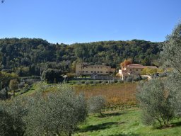 028-Olives-Gricigliano_2025-11-06_13-12-06_0467