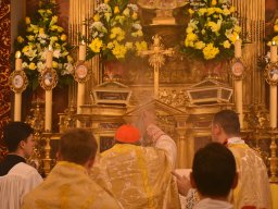 043-SaintFrancoisDeSales-Gricigliano_2026-01-29_12-25-54_6447